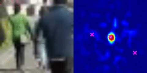 ../_images/NvDCF_PNv2.3_lvl5_reassoc_CorrResp[5].gif